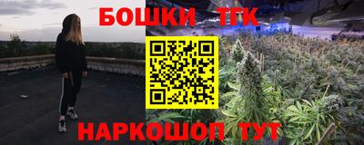 индика Кунгур