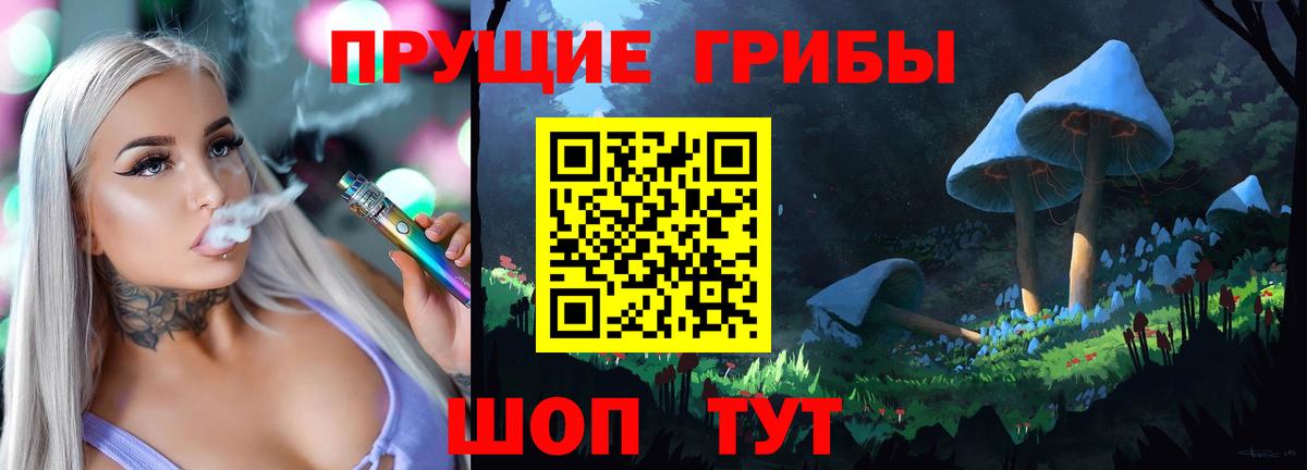 Псилоцибиновые грибы Psilocybe Домодедово