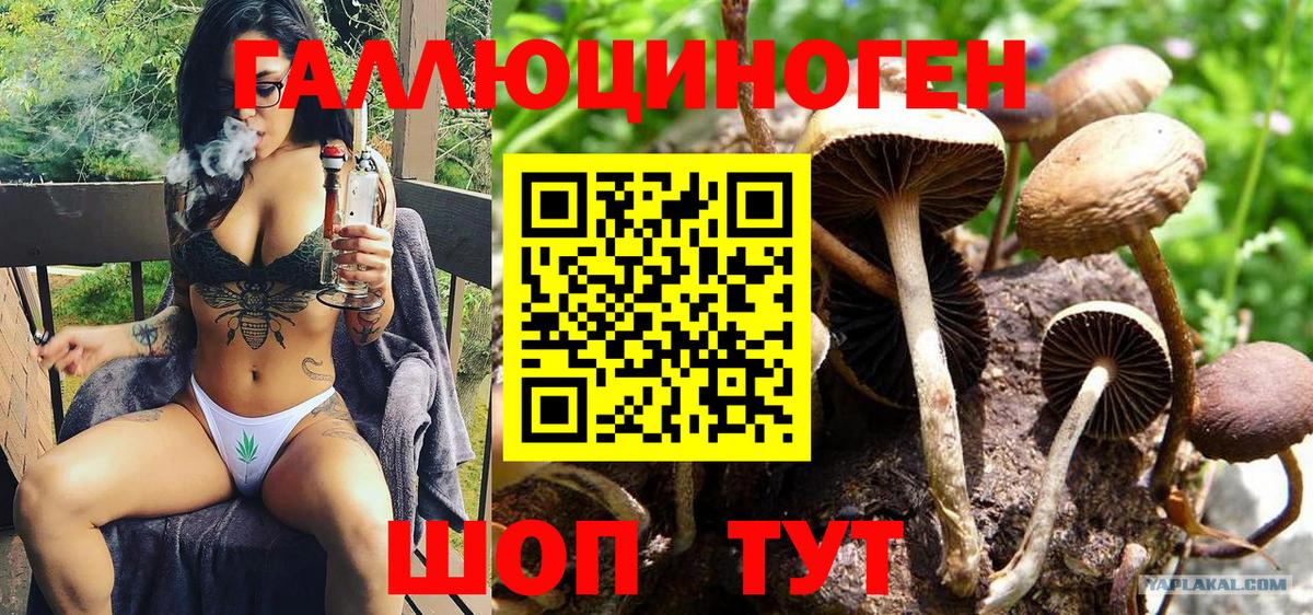 Галлюциногенные грибы Cubensis  Вход с VPN  Домодедово 